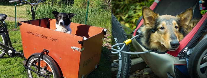 Fietskar voor honden, opvouwbaar, fietsaanhanger van Oxford-stof met reflectoren, fietsaanhanger voor huisdieren, kinderwagen voor huisdieren, maximale belasting 40 kg (oranje