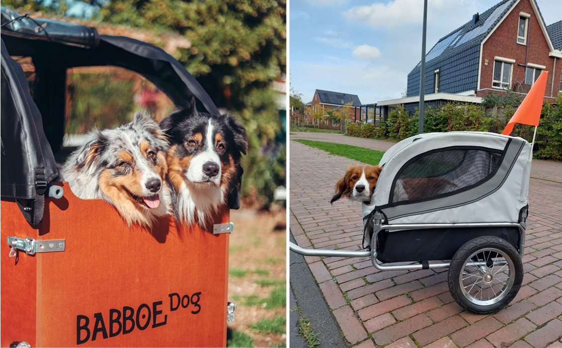 Tante rekenmachine Hijgend Fietskar hond, fietskar voor grote honden | Babboe