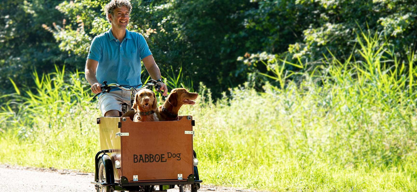 abstract vezel Boekhouder Fietsen met je hond: 3 redenen om voor een hondenbakfiets te gaan | Babboe