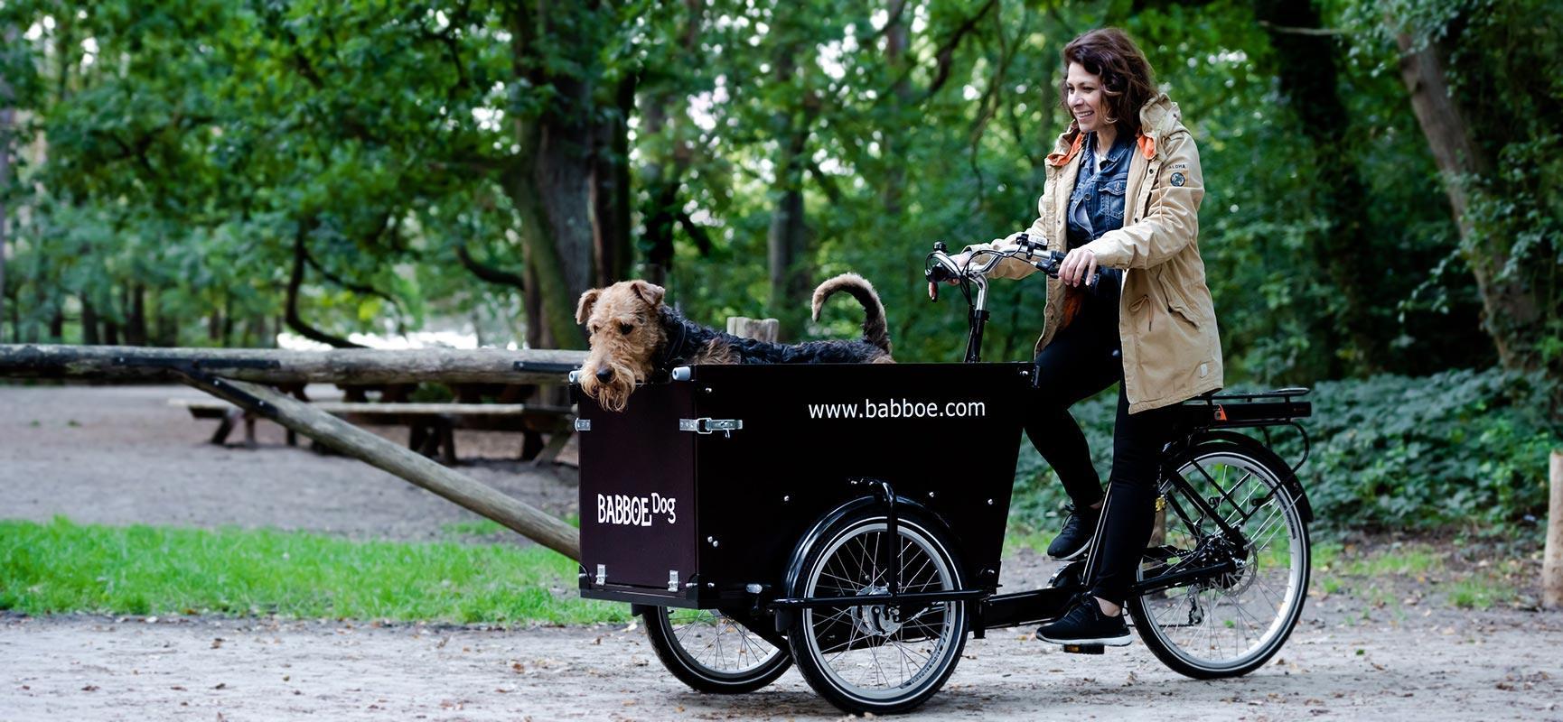 Hond in bakfiets vastmaken