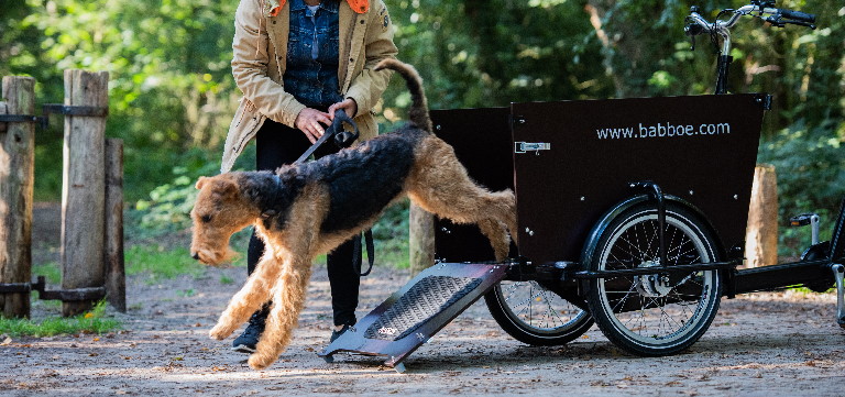 beste bakfiets voor honden