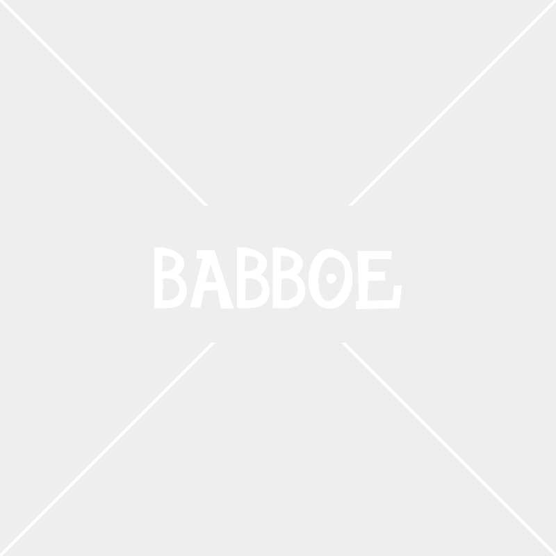 babboe electric cargo bike