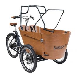 Babboe tentstokkenset Carve / Flow