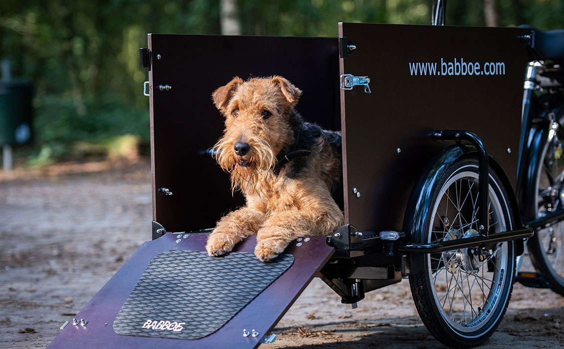 hond bakfiets